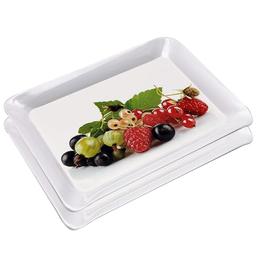 White Light Weight Rectangular Serving Tray Set of 2