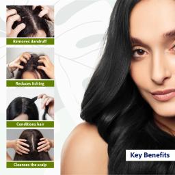 Sri Sri TATTVA shuddhta ka naam Anti Dandruff Shampoo, 200Ml & Sri Sri Tattva Organic Virgin Coconut Oil, 200ml