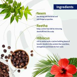 Sri Sri TATTVA shuddhta ka naam Anti Dandruff Shampoo, 200Ml & Sri Sri Tattva Organic Virgin Coconut Oil, 200ml