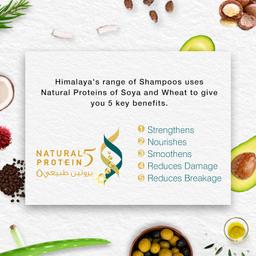Himalaya Anti-Hair Fall Bhringaraja Shampoo, Reduces Hair Fall, Makes Hair Healthy, With Bhringaraja & Palasha,for men and women, 340ml