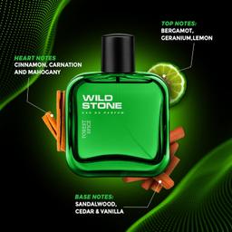 Wild Stone Forest Spice Eau De Parfum For Men, 100ml