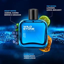 Wild Stone Hydra Energy Eau De Perfume for Men, 100ml