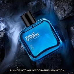 Wild Stone Hydra Energy Eau De Perfume for Men, 100ml