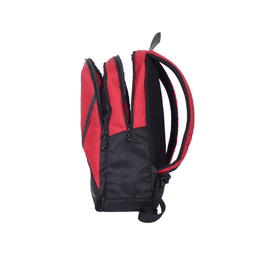 Falconnet  Laptop Backpack 27 Ltrs, Red