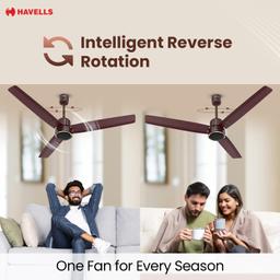 Havells 1200mm FAB BLDC Ceiling Fan | Remote Controlled, High Air Delivery Fan, 5 Star Rated | Upto 60% Energy Saving, 2 Year Warranty (Brown)