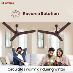 Havells 1200mm FAB BLDC Ceiling Fan | Remote Controlled, High Air Delivery Fan, 5 Star Rated | Upto 60% Energy Saving, 2 Year Warranty (Brown)