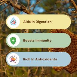 Safe Harvest Pesticide-Free Forest Honey | Pure & Natural - 100g (Pack of 2)