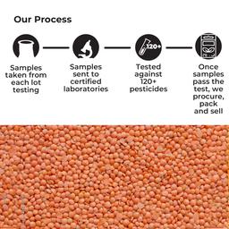 Safe Harvest Pesticide-Free Unpolished Red Masoor Dal 500g (Pack of 2)