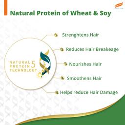 Himalaya Gentle Daily Care Natural Protein Shampoo, Gently cleanses & strengthens, With Chickpea, Licorice & Amla, For Women & Men, 340 ml