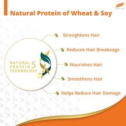Himalaya Damage Repair Argan Oil Shampoo, 5x damage control for smoother hair, for all hair type, 340 ml