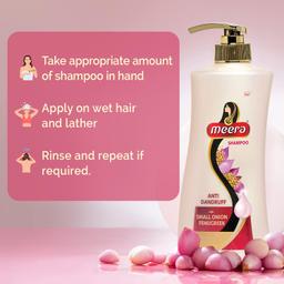 Meera Anti Dandruff Shampoo, With Goodness Of Small Onion and Fenugreek, Fights dandruff, For Men And Women,Paraben Free, 1L