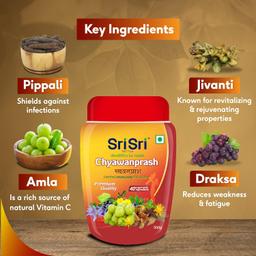 Sri Sri Tattva Chyawanprash, 500g - Herbal Immunity Booster with 40+ Ayurvedic Ingredients for Better Strength and Stamina,