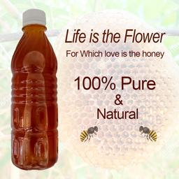 Sri Sri Tattva Chyawanprash, 500g with Malnad Pure Honey, 100% Purity, No Added Sugar, 500g