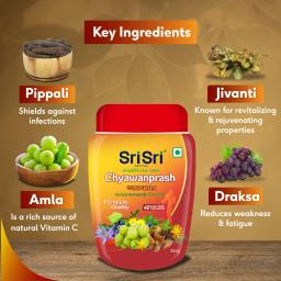 Sri Sri TATTVA shuddhta ka naam Chyawanprash - Herbal Immunity Booster With 40+ Ayurvedic Ingredients For Better Strength And Stamina - 250G