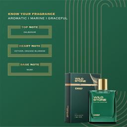 Wild Stone Chief Eau De Parfum | 3.38oz,100 ml | Luxury EDP Perfume for Men | Intense Long Lasting Premium Fragrance | Cologne and Fragrance For Men | 100% Liquid Scent