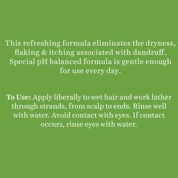 Biotique Fresh Neem Anti Dandruff Shampoo and Conditioner | Controls Dandruff | Eliminates Dryness, Flaking, and Itching | Hair Looks Fresh and Lustrous |Suitable for All Skin Types | 180ml